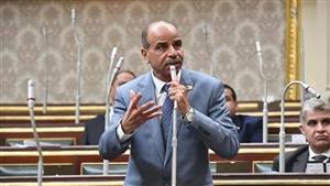 على رأسها قصب السكر.. برلماني يطالب بوضع أسعار عادلة للمحاصيل الاستراتيجية