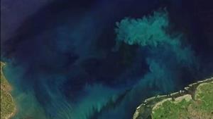 أدلة جديدة تنسف النظريات السابقة عن تاريخ بدء الحياة على الأرض