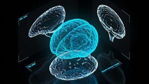 اكتشاف علمي.. الدماغ يخزن 3 نسخ من كل ذكرى