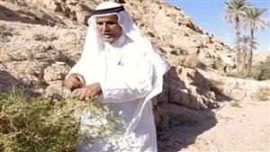 تعمل إيه لو تعرضت لجرح في الصحراء؟.. خبير أعشاب بسانت كاترين يجيب