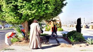 صبار وجهنمية وشمعدان.. محافظ الأقصر يتابع تنفيذ المبادرة الرئاسية 100 مليون شجرة