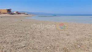  انحسار المياه في شواطئ مدينة نويبع 20 مترًا.. ماذا يحدث في جنوب سيناء؟ - فيديو وصور