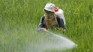 "الزراعة" تطلق حملة مكبرة لمكافحة آفات المحاصيل الزراعية