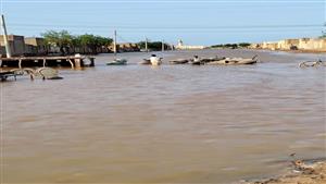 السودان: 138 قتيلًا جراء الأمطار والسيول التي اجتاحت 10 ولايات
