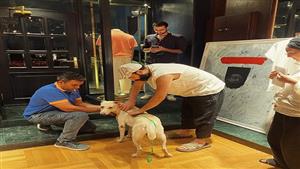 اللمسات الأخيرة قبل ظهور السيد رامبو مع عصام عمر في مهرجان فينيسيا السينمائي.. صورة