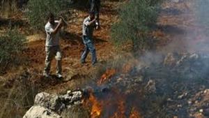 مستوطنون يحرقون أراضي الفلسطينيين في الضفة الغربية (فيديو)