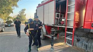 بالصور.. الحماية المدنية تنقذ طائر "أبو قردان" علق في أسلاك إنارة بطنطا