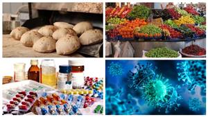 نشرة التوك شو| مبادرة محافظ أسوان لطمأنة الأهالي وحقيقة رفع أسعار الخبز المدعم والسياحي