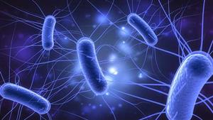 احذر.. 10 أشياء مليئة بالبكتيريا والجراثيم في حياتك اليومية 