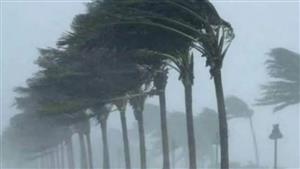 فيديو| عاصفة ثلجية تتلف محاصيل زراعية في الأرجنتين وأوروجواي