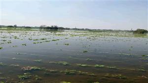 حدث في منتصف الليل| سبب غرق أراضي "طرح النهر".. وضعف الإقبال على التصالح بمخالفات البناء