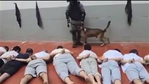 إعلام عبري: الانتهاكات ضد الأسرى الفلسطينيين "روتينية"