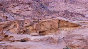 "العجل الذهبي" بسانت كاترين صنم صنعه بنو إسرائيل أم تكوين صخري؟.. حكايته حيرت العالم