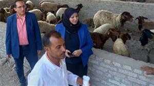 تزامنًا مع عيد الفلاح.. بيطري المنيا يقدم 3238 خدمة خلال 6 قوافل مجانية بالقرى