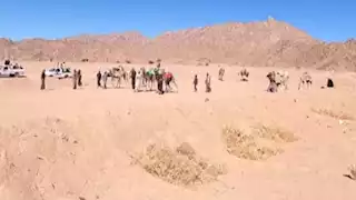 بالصور- فوز قبيلة "المزينة" على "الترابين" في سباق الزلقة الشهير