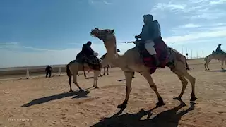 23 صورة ترصد استعدادات شرم الشيخ لاستقبال "المهرجان العربي للتراث والهجن"