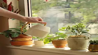 8 طرق فعالة للتخلص من الطاقة السلبية.. جربها الآن