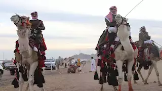 بالصور- انطلاق فعاليات "المهرجان  العربي للتراث والهجن" بشرم الشيخ