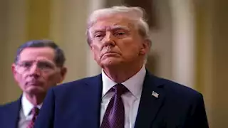 تنفيذًا لتعهدات ترامب.. نشر آلاف الجنود الأمريكيين على الحدود مع المكسيك