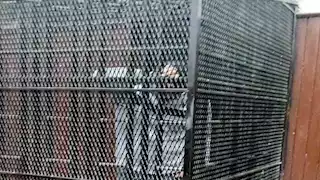 خناقة عزبة نوفل.. قرار من الجنايات في جريمة بولاق