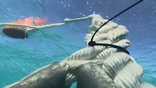 البيئة تطلق مشروع صيانة وتركيب الشمندورات بمحمية رأس محمد 