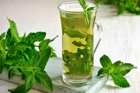 فوائد النعناع العلاجية- إليك أبرز الأمراض التي قد يشفيك منها 