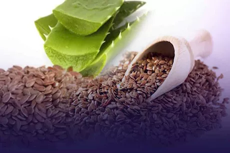 قناع الصبار بذور الكتان.. فوائد متعددة للشعر