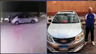 فيديو صادم| ضبط سائق وضع طعامًا مسمومًا للكلاب الضالة في حدائق الأهرام