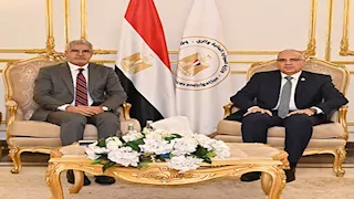 وزير الري: تقديم كل أوجه الدعم للأشقاء العرب والأفارقة في مجال المياه