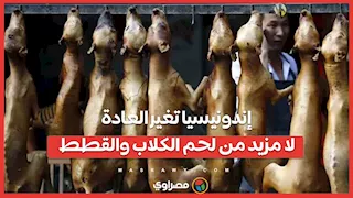 إندونيسيا تغير العادة.. لا مزيد من لحم الكلاب والقطط
