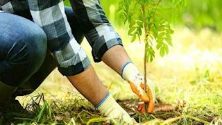 مدير المعهد الدولي للمياه: حلول الطبيعة مفتاح صمود الزراعة أمام التغير المناخي