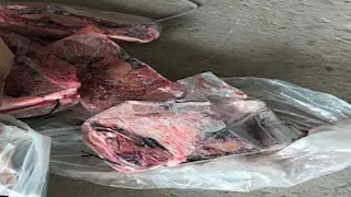 التحفظ على 35 طن ماكريل وكبدة فاسدة خلال حملة بالبحيرة (صور)