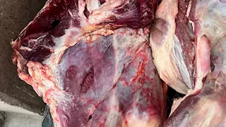 أختامها مزورة.. ضبط لحوم غير صالحة للاستهلاك الآدمي في الأقصر -صور