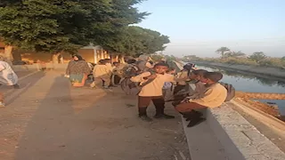 جسر الموت فى أسيوط.. تلاميذ عزبة الصاوي يعبرون الترعة فوق جذع نخيل متهالك -صور