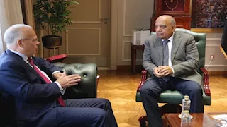 وزير الكهرباء: الاستفادة من الخبرات السويدية في دعم استقرار وكفاءة الشبكة