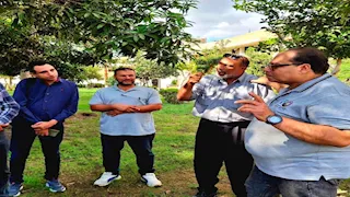 الإسماعيلية تستعد لإطلاق مبادرة لزراعة ٣٢٨٠ فدانًا بالقمح