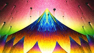 عالم لا يرى بالعين المجردة.. صور تكشف الجمال الخفي للكائنات الدقيقة