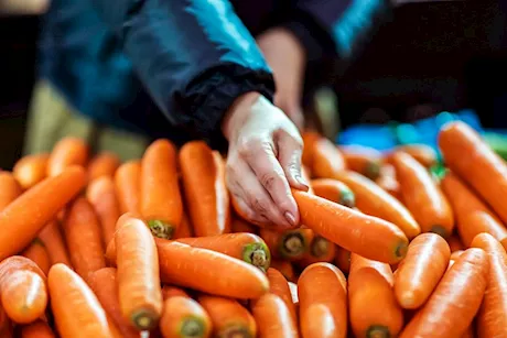 ضغط الدم والجزر.. ماذا يحدث عند تناوله بانتظام؟