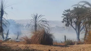 السيطرة على حريق قرب معبد موت بالأقصر (صور)