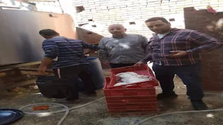 بالصور - ضبط طن لبن غير صالح للاستهلاك داخل معمل في أسيوط 