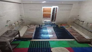 هنا وقعت جريمة البريد.. "مصراوي" داخل مسجد عمر بن الخطاب في الإسكندرية (صور)