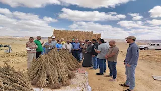 زيارات ميدانية لتجمعات سيناء لتوعية المزارعين بتجهيز الأرض للموسم الشتوي