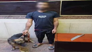 "بسلاح أبيض وكلب".. ضبط بلطجي روع المواطنين بالجيزة