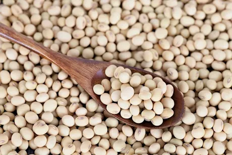 لزيادة بروتينات فول الصويا- 4 أطعمة تناولها معه