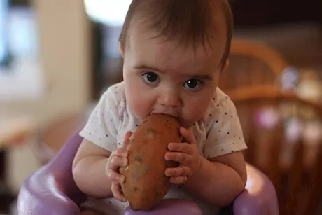 لهذه الأسباب.. طبيبة تنصح بتناول الأطفال البطاطا مع جوز الهند