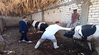 بالصور- انطلاق الحملة القومية الثالثة ضد الحمى القلاعية والوادي المتصدع بالأقصر