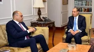 وزيرا الخارجية والعمل يناقشان الهجرة والعمالة المصرية بالخارج