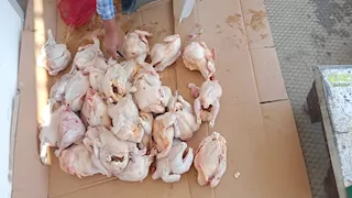 بالصور- ضبط 178 كيلو لحوم ودواجن وأسماك فاسدة في أسيوط الجديدة