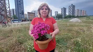 سيدة تفقد كل ممتلكاتها بسبب باقة زهور.. هذا ما حدث