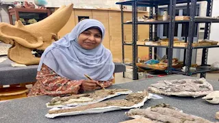 أول تعليق من فريق اكتشاف أقدم تمساح في مصر: يعيد رسم خريطة الزواحف القديمة